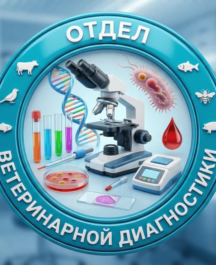 e08e941f-c37e-4aa6-ba9f-9fd488acc279-диагностика.png